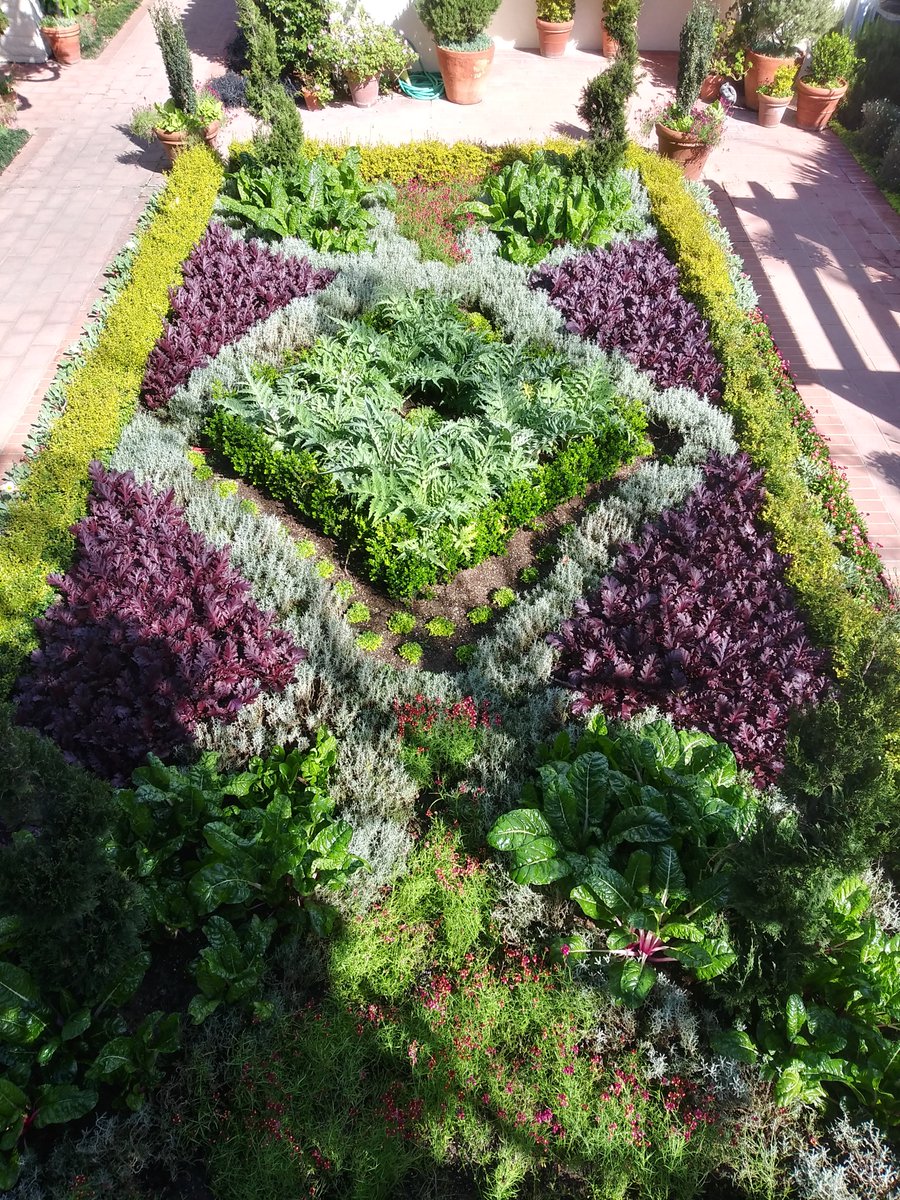 The gardens are looking gorgeous. Be safe everyone!