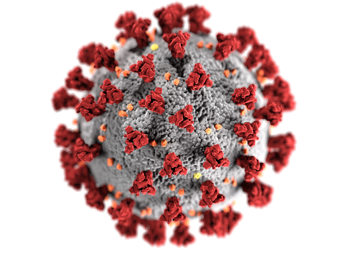 EVGallipoli's tweet photo. La vita ai tempi del #coronavirus: Come si evolvono i #prezzi del #mercatoimmobiliare? https://t.co/9rqmdlxZCX https://t.co/OPURuBK1qv