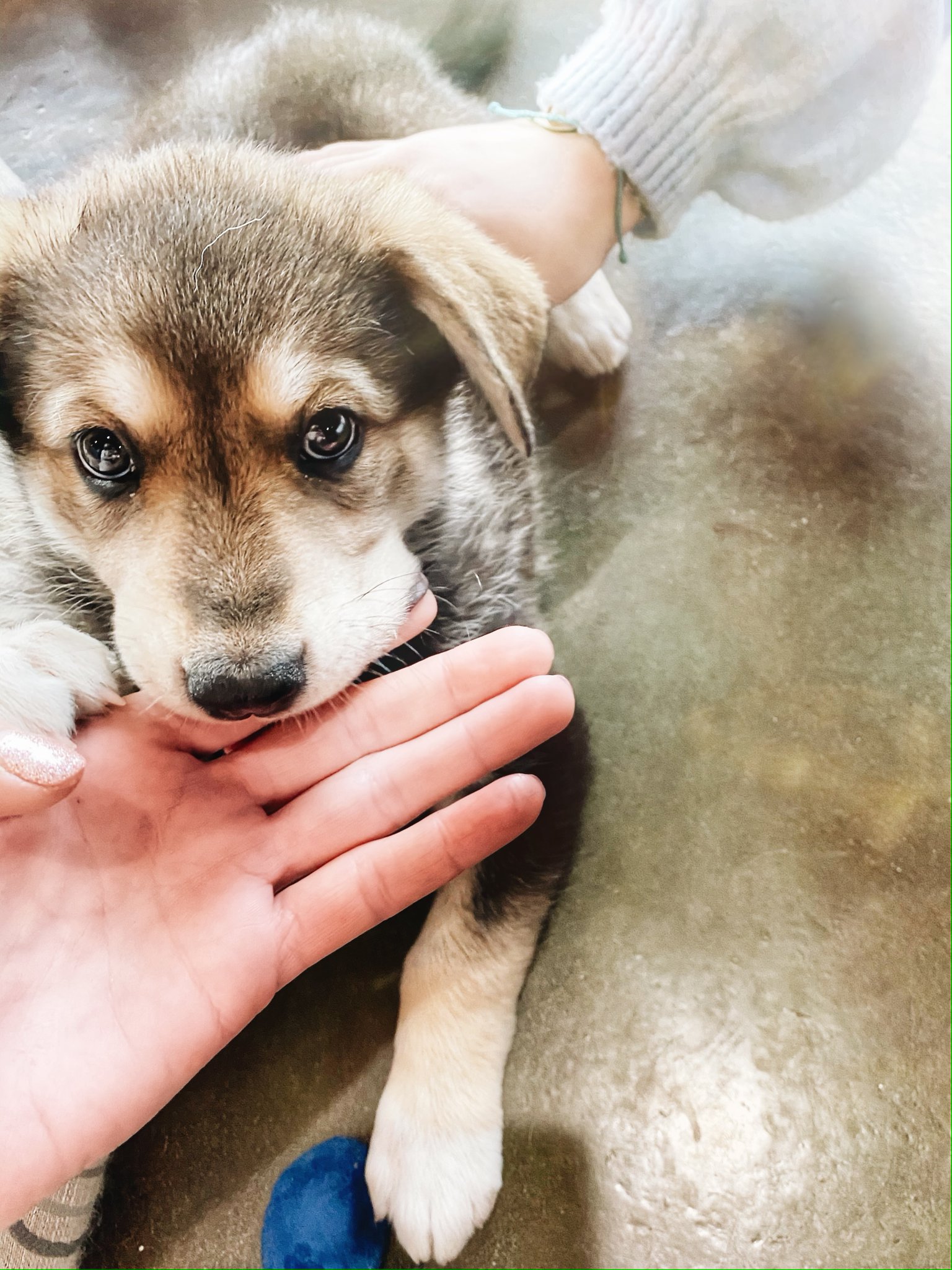 Heather B. Hamilton on Twitter: