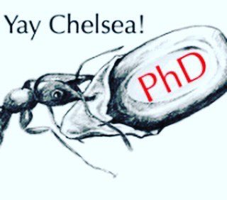 I passed my PhD defense today! “Officially” (minus the paperwork) a “Dr.”! #phd #phdchat #dissertationdefense #ecology #seeddispersal #ants #trillium #remotelearning #remotework #tired