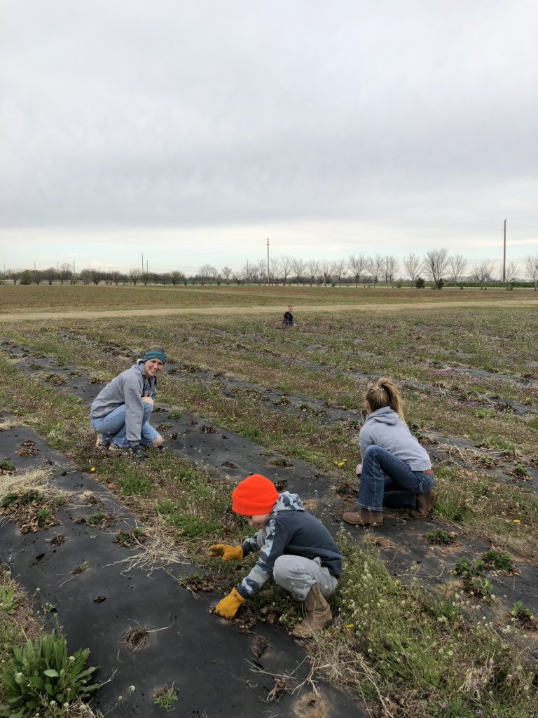 Great morning with the kids in the strawberry patch. Make me happy. #runnernationselfie