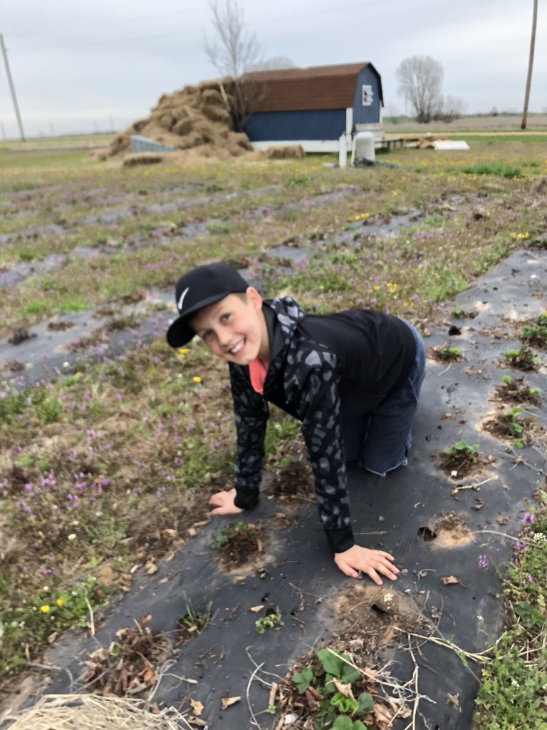 GerberUSHistory's tweet photo. Great morning with the kids in the strawberry patch. Make me happy. #runnernationselfie https://t.co/0b4kAraIvG