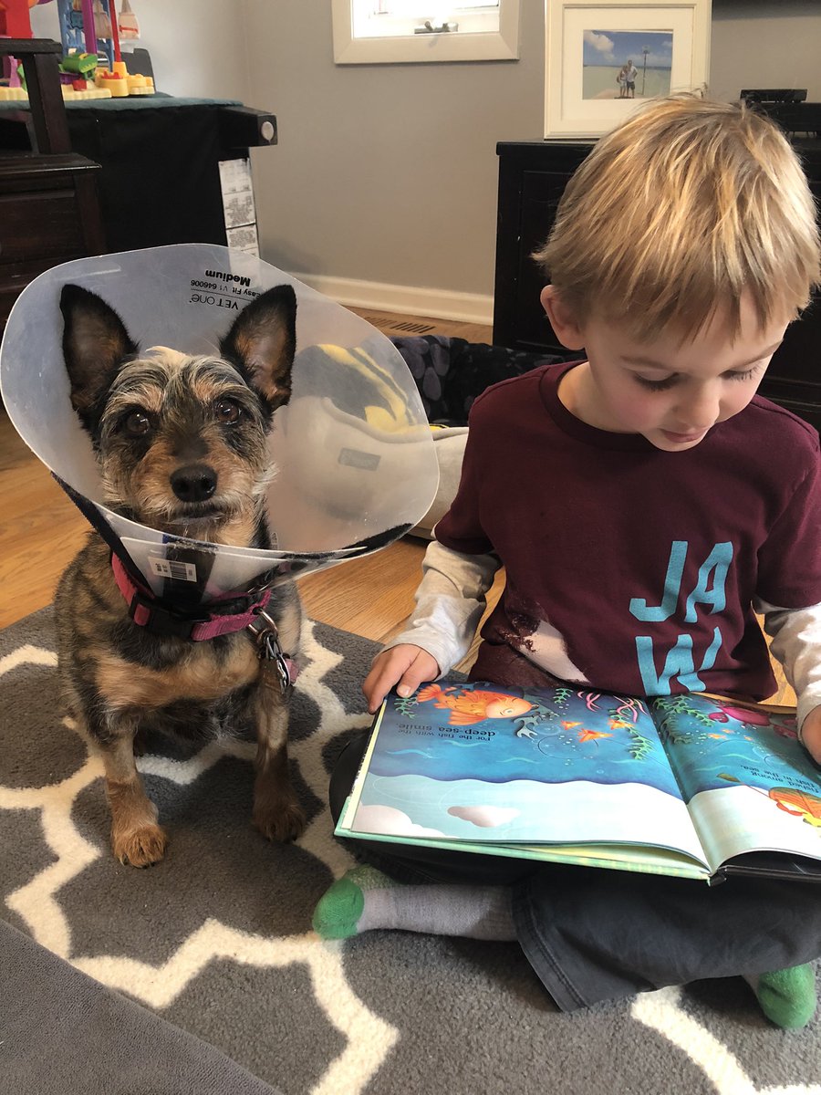 Read to your favorite furry friend day. #IrvingPride #SpringBreak2020