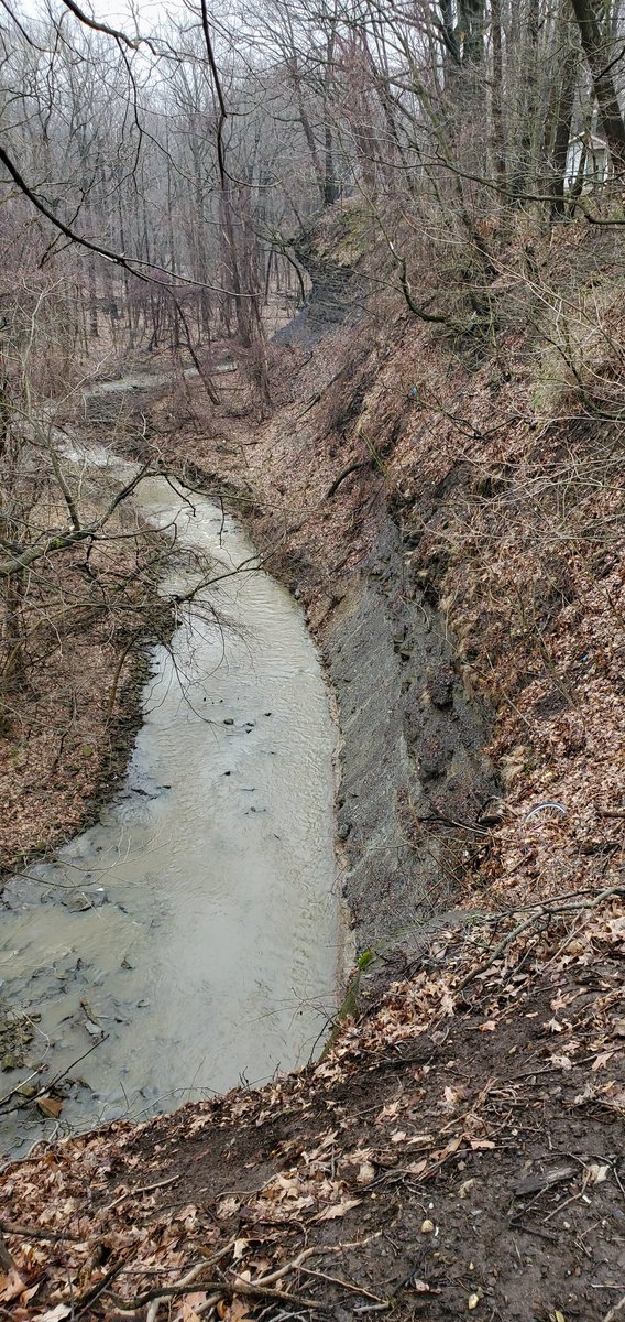 DunkCHOMPS's tweet photo. This is Nine Mile Creek in South Euclid, OH. At first glance it may look gray and overgrown, but to a #paleontologist or #geologist there is more to this view than meets the eye! If you're able, take some time to appreciate your local #geology!

#clevelandshale #chagrinshale #cle https://t.co/HWuFQnFEvJ