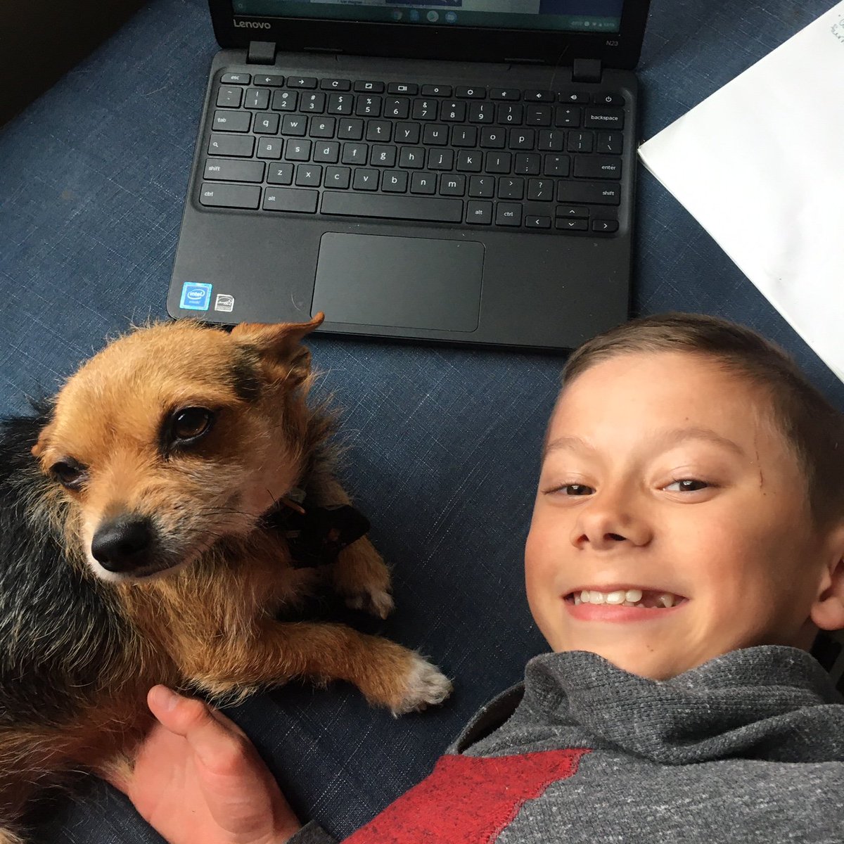 NickNeiderhouse's tweet photo. Pet Selfie for Virtual Spirit Week! Is that a mouse pad or dog pad? π #newclassmate @WT_StuCounc https://t.co/q0jKKpDBiW