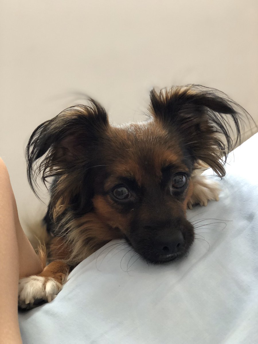 𝑀𝑎𝑐𝑎 🍒 tweet media