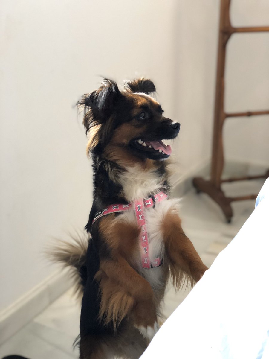 𝑀𝑎𝑐𝑎 🍒 tweet media