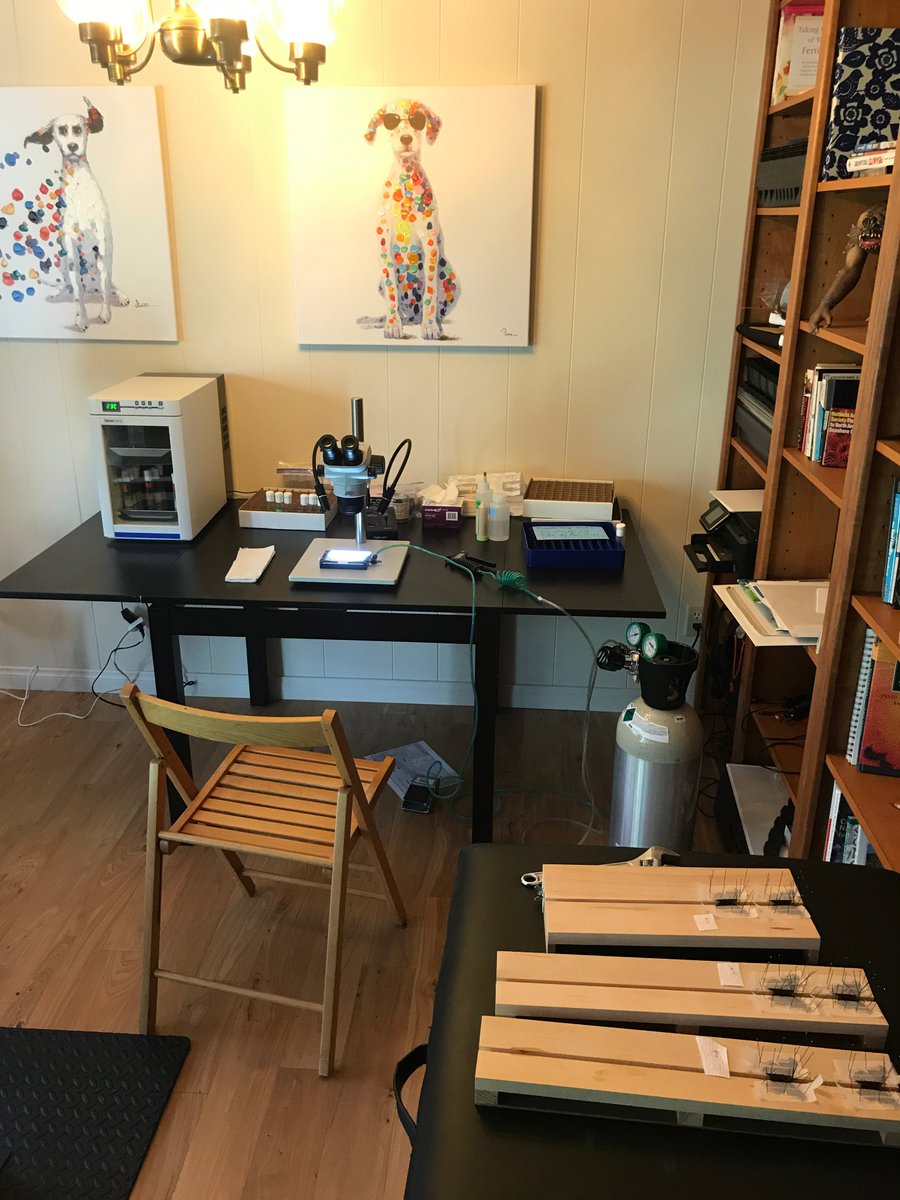 Michael Perry tweet media