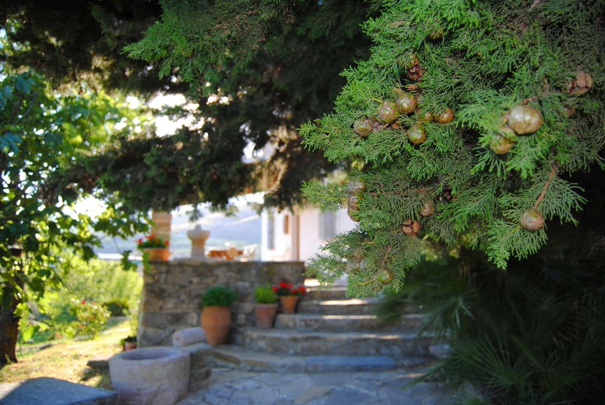 RuralTorcal's tweet photo. La Casa de la Monja es una auténtica casa de campo sin trampa ni cartón. Se encuentra en una hermosa zona de labranza y de ella se cuentan curiosas historias. 

📞 +34 666 94 00 01 | +34 671 12 74 40
📧 casalamonja@hotmail.com
🔴 https://t.co/Uv8uAeEr5d https://t.co/axauDVuet9
