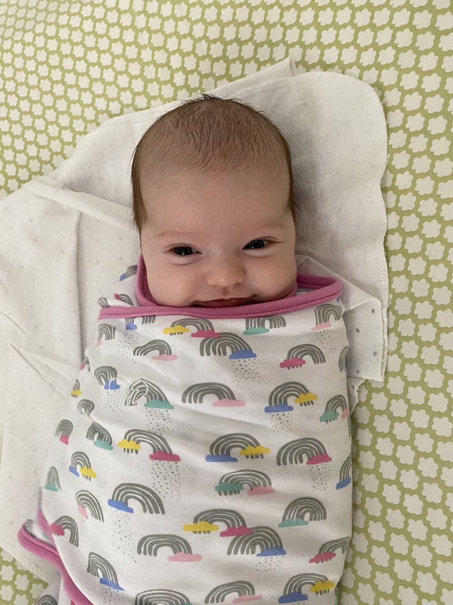 Andrew Gavin tweet media