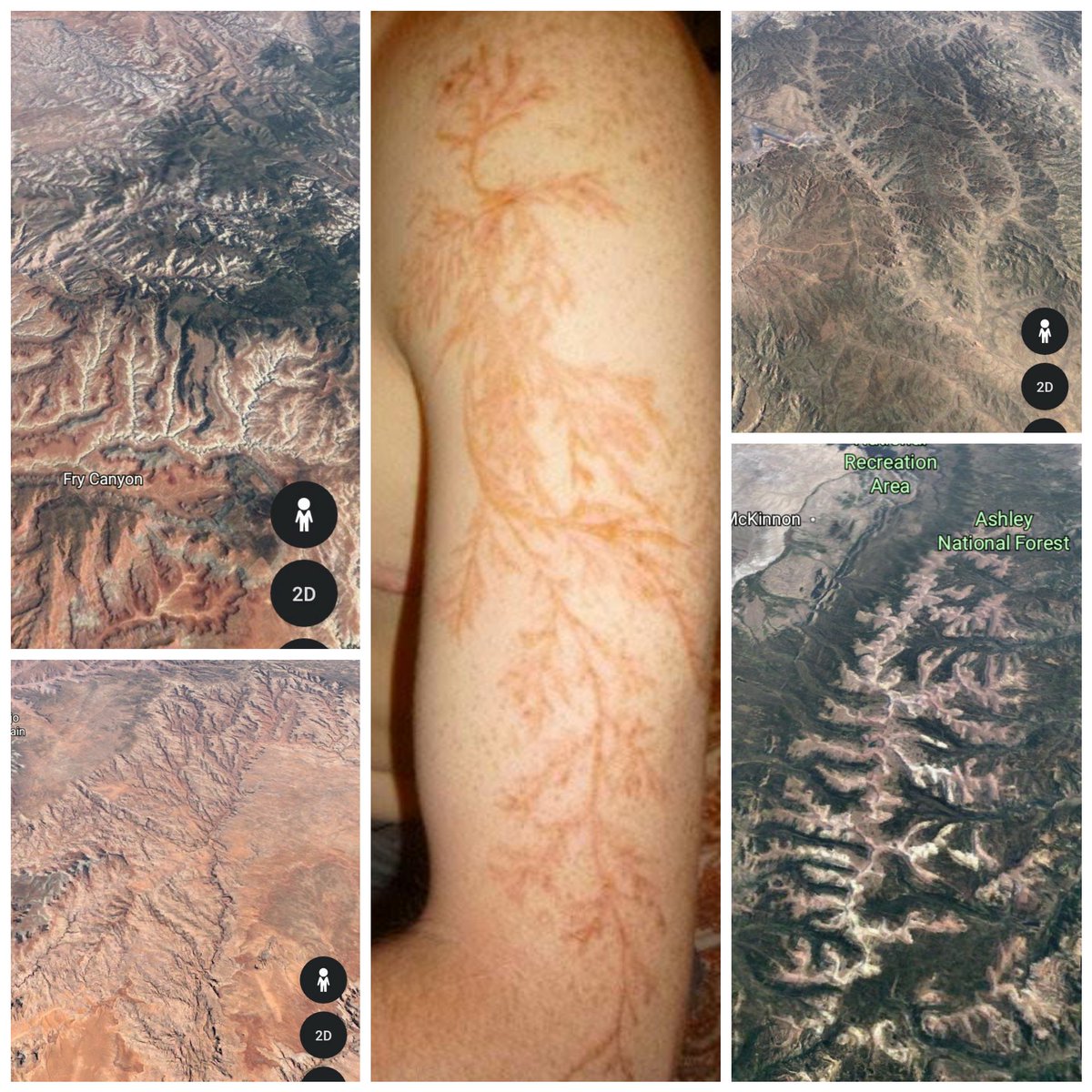 Seosaidh_Wyrd's tweet image. #EMPCOE #plasma #catastrophy #Armageddon #EndTimes #proof #Lichtenberg #electromagnetic #scars @remyjsg @SmokeBreakMusic @TT9zero @brianaustinlam1