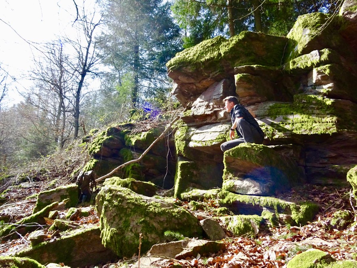GeoGebweiler's tweet photo. Traumwetterwanderung zur #RuineSchnellerts https://t.co/iwv88dLQuq
