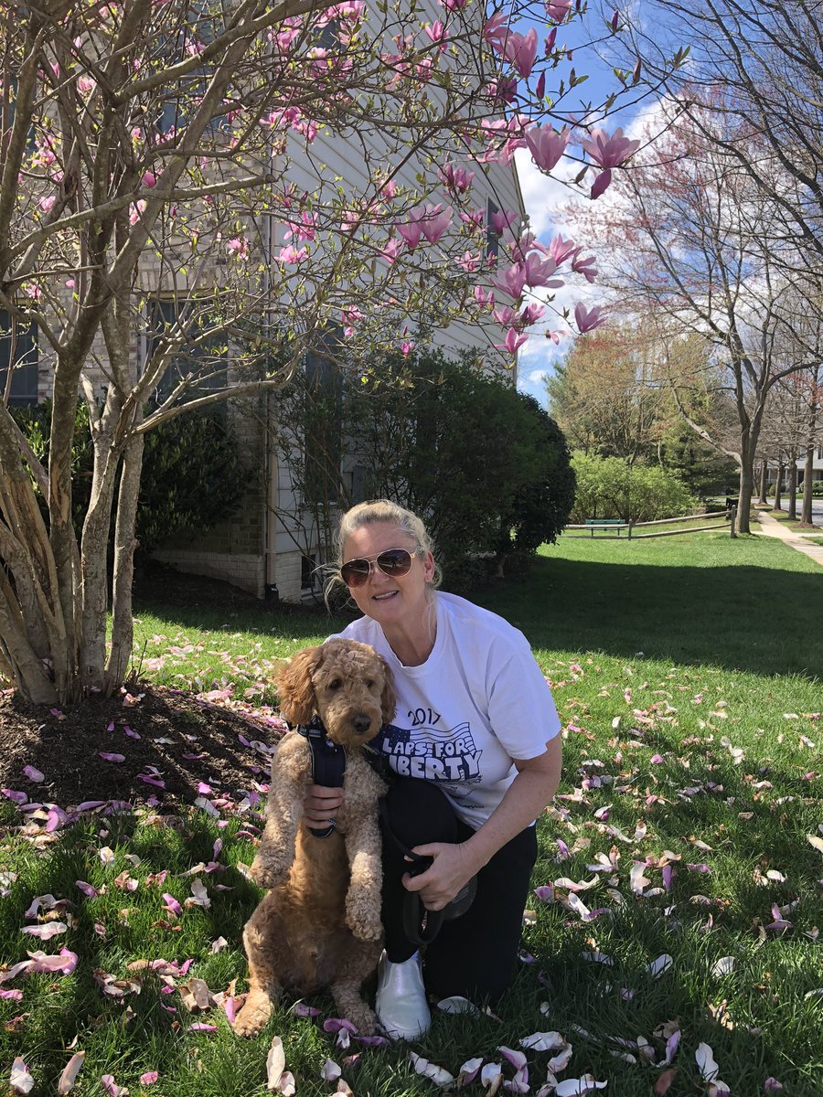LibCounselFoley (@libfoley) on Twitter photo On a walk with Georgie on this beautiful day 🌺🌸💜@LCPSLiberty <a href="/pta_liberty/">Liberty PTA 🦅 South Riding, VA</a> #EagleConnection On a walk with Georgie on this beautiful day 🌺🌸💜@LCPSLiberty <a href="/pta_liberty/">Liberty PTA 🦅 South Riding, VA</a> #EagleConnection
