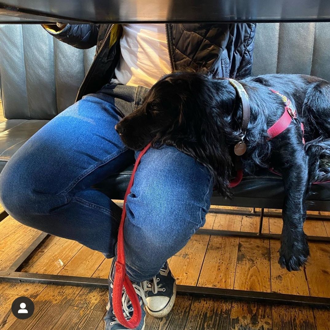 📸 @hat_mcquoid - A certified Good Boy hanging out at the Bottle 💖🐶💤⁠
#cheltenham #cotswolds #dogsofinsta #dogpub #dogfriendlycheltenham