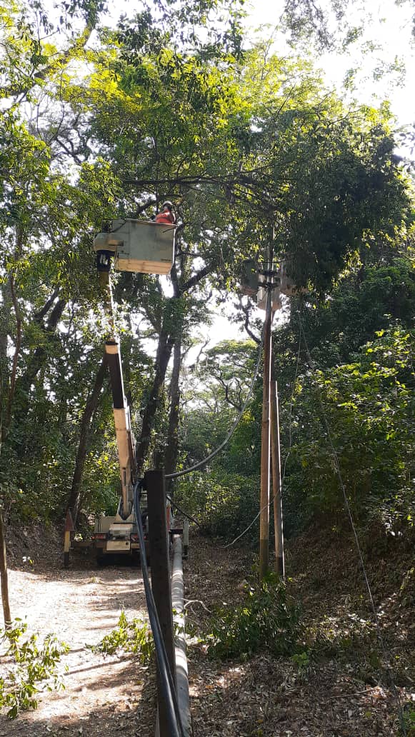 Wilfred15962036's tweet image. #NotiSEN #30Mar 📝 Personal del C,S Acarigua, realizaron pica y pida en el circuito Palo Gordo, el cual  alimenta a comunidades de #Araure Centinelas del sector eléctrico desplegados para atender los requerimientos de la población 
#VenezuelaSeRespeta  #NoMasTrump
@FBritoMaestre