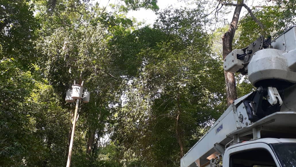 Wilfred15962036's tweet image. #NotiSEN #30Mar 📝 Personal del C,S Acarigua, realizaron pica y pida en el circuito Palo Gordo, el cual  alimenta a comunidades de #Araure Centinelas del sector eléctrico desplegados para atender los requerimientos de la población 
#VenezuelaSeRespeta  #NoMasTrump
@FBritoMaestre