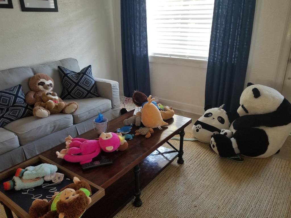 polk463's tweet photo. Julie gave all of us a wildlife lesson today @frangiskakistcs @StoupasTeresa 
#animallover #lovesstuffedanimals https://t.co/XTqUHDc82c