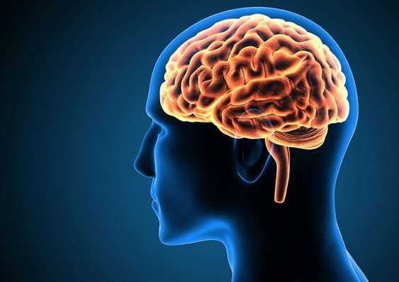 thevermanator's tweet photo. Research shows the human brain doesn't finish developing until age 25. Chemicals from drugs can hinder self-control in the prefrontal cortex and mess with the emotional sectors of the brain, including the limbic system. #NDAFW #ShatterTheMyths https://t.co/TOD9PJHPm7