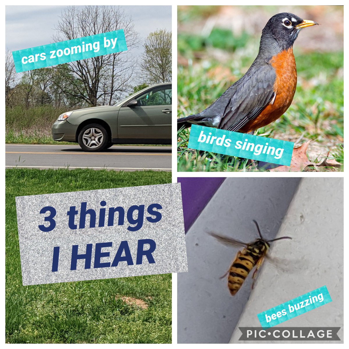 SING_n_teacher's tweet photo. Here's my #MindfulMonday for #wardsguide
#StayatHome π« #StuckintheHouse
@mzguidance
#LESisShapingSuperHeroes @LandisBuzz https://t.co/Ltes3d6elV