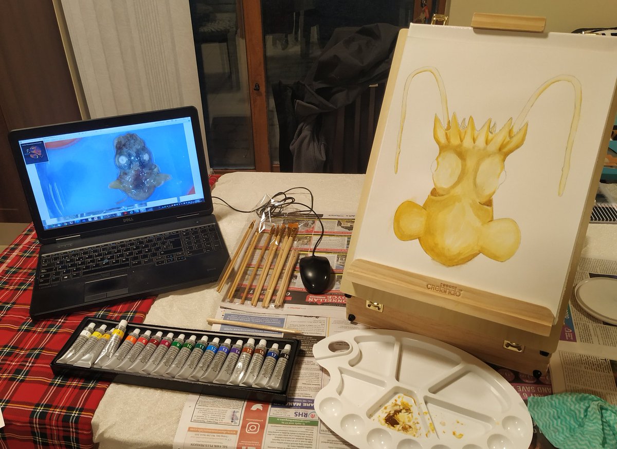 cefafalopodo's tweet image. Improving my #sciart skills! #IrelandLockdown #StayAtHome #acrilicpainting #bobtailsquid #cephalopod #scientificillustration #ilustracioncientifica