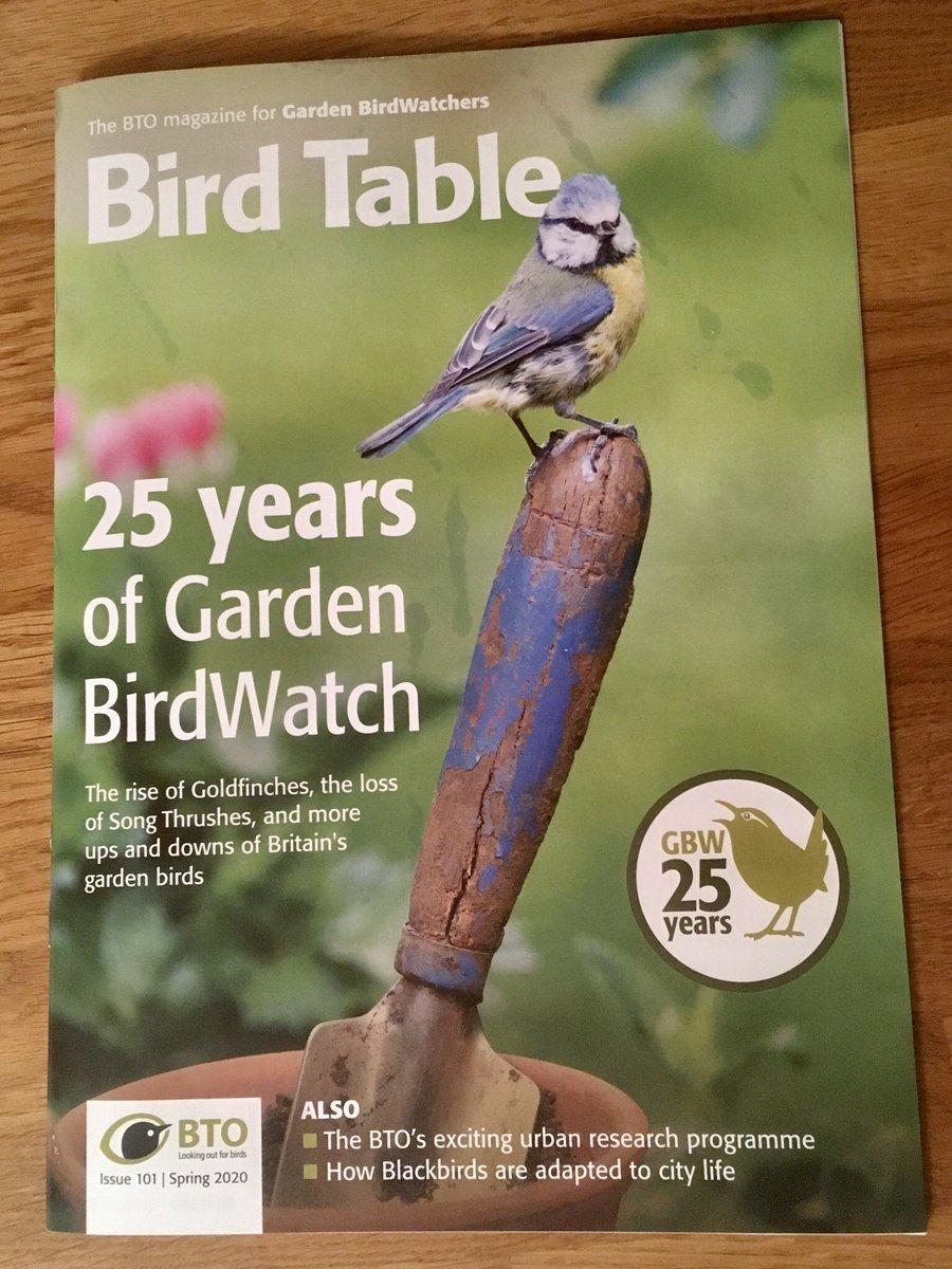 ScienceGeek1313's tweet image. Love my quarterly read of #BirdTable magazine - added bonus this week when I saw my pic in it! @_BTO @BTO_GBW