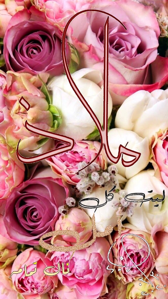 [ مَلاذ ] : لَيْتَ كُلّ أَمَل نَالَ تَمَامهُ .