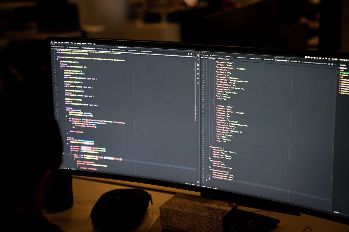 orangebeesllc tweet media