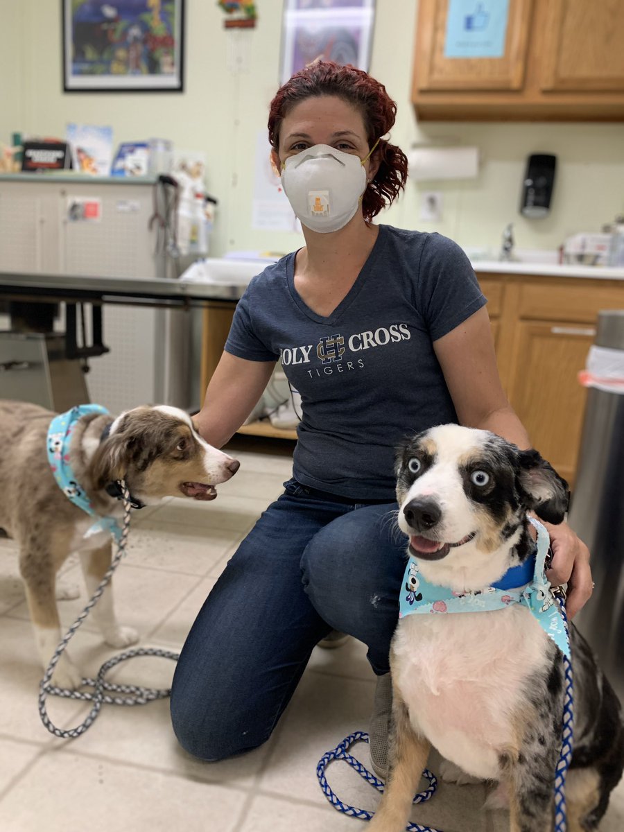 NOLAAnimalC's tweet photo. Mommy says we have to do social distancing, but she’s touching me!! 😳😳 #NOLAAnimalClinic #NOLAFamily https://t.co/1eX6u5T4Dl