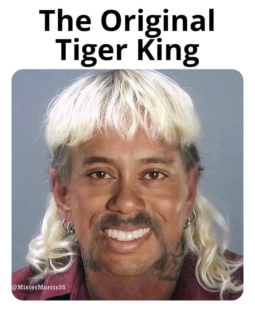 Ajm9803's tweet photo. Hey @GCTigerTracker is this Tiger's quarantine look? https://t.co/OYYDF0r7bb