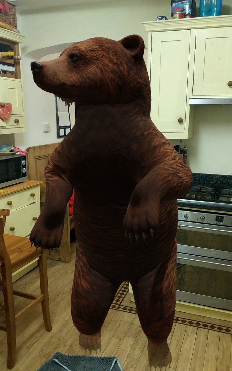 Andrew Caffrey A Twitter 1 Go To Google Search 2 Search For An Animal I Went For Bear 3 View In 3d 4 View In Your Space In My Case The Kitchen