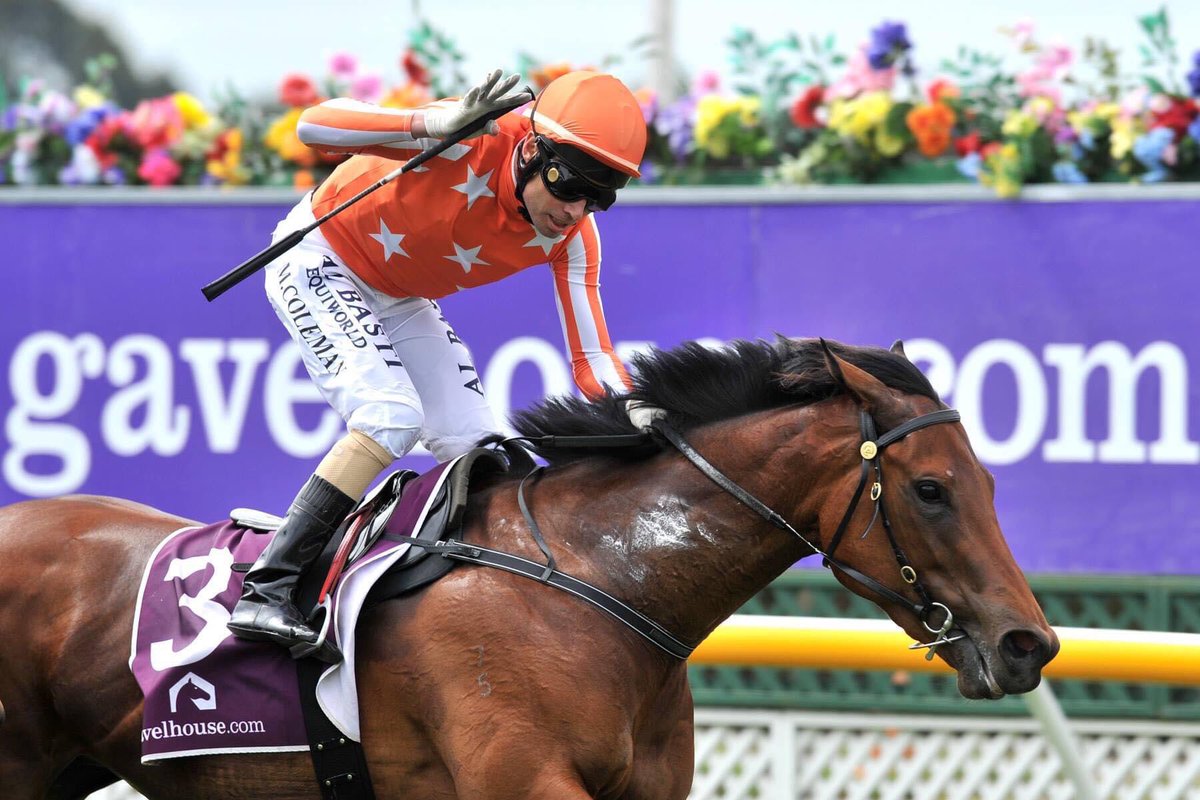 SarahXtra's tweet image. If you are a horse racing person please join the challenge of posting a racing photo. Just one picture, no description. Please copy the text in your status, post a picture and look at some great memories/pictures.