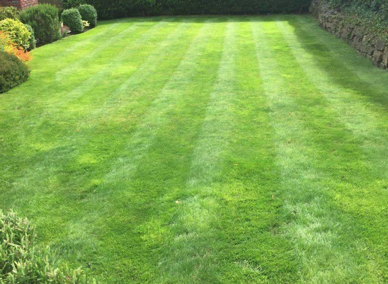 GSPrestonUK's tweet photo. #Spring is upon us! 🌱 Does your lawn need some help? If your moss is making you miserable or the weeds are making you weary - give us a call, we can help! 

☎️ Get in touch for your free no obligation quotation on 01772 769055. https://t.co/nD93L39UW2