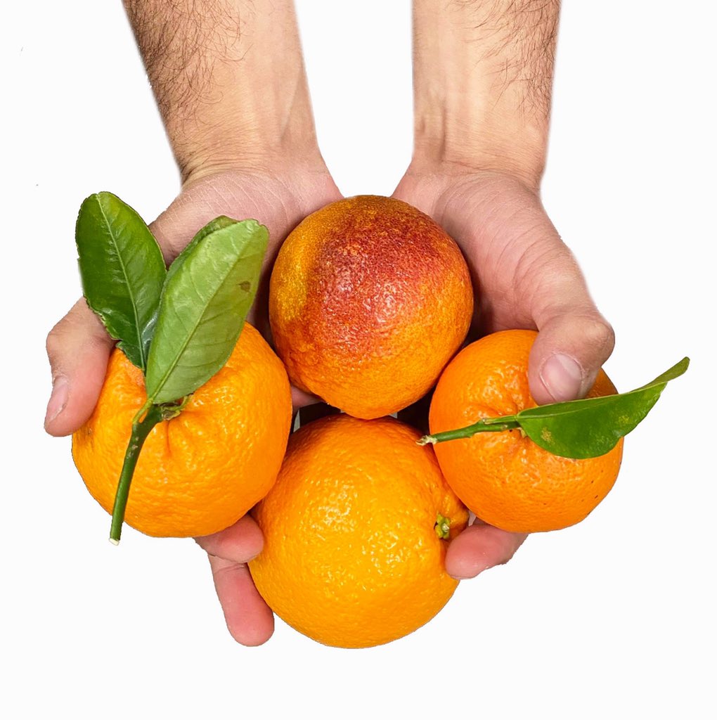 BranchToBox's tweet image. We hope you are safe and healthy in your office or home! This week’s box is heavy on citrus, we suggest slicing them for a tasting (virtual or with your shelter-in-place crew)