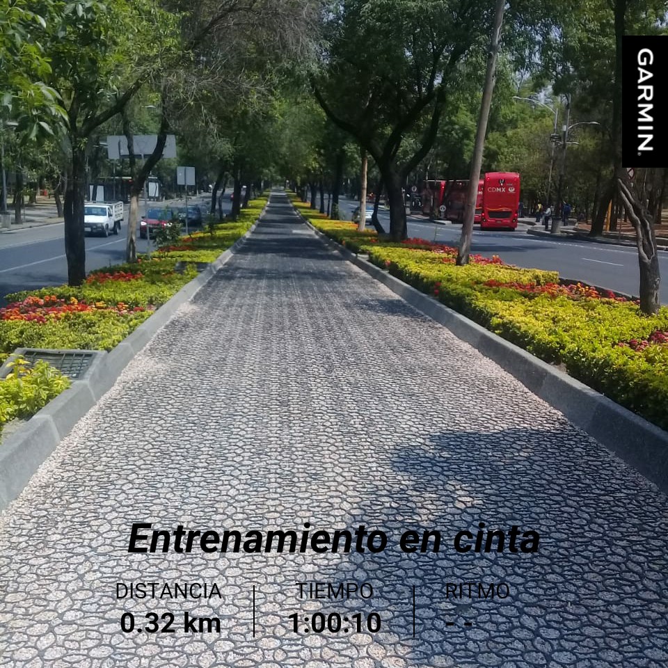 pattorunner's tweet photo. Mi amor hoy me acompaño virtual y me regalo esta pic hermosa de la cdmx 1 hora de bici estatica pero a su lado iba aquí!!!🙏🌺🤘🐗💋💖😍 #Dioscorreconmigo #madafaka #actitu #tepinchesamo #soymifan #teamO #wingsforlife #WFLWRCDMX #garmin #beatyesterday https://t.co/1pZ5t3Eqk7
