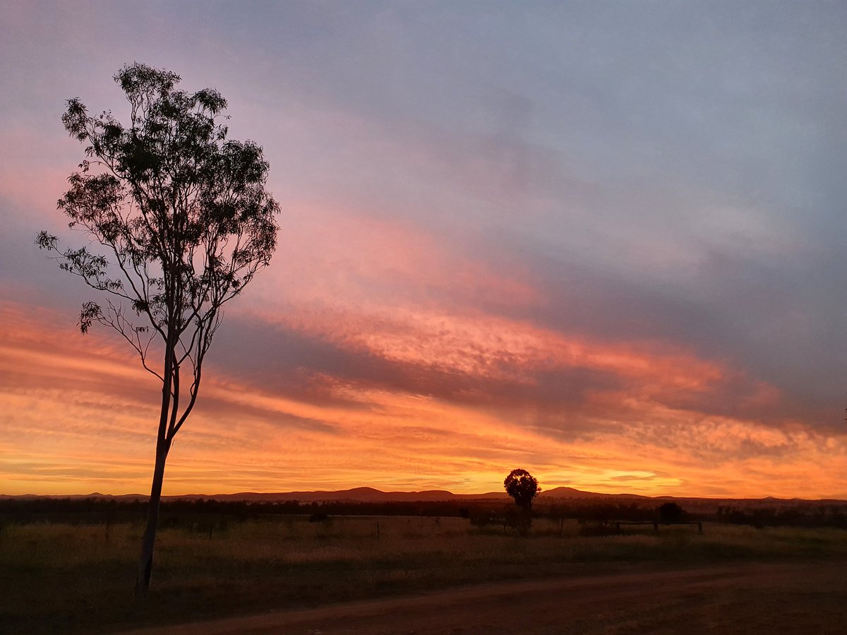 CoultonsCountry's tweet photo. I wonder what this new day holds?
Have a safe and good one, everyone.

#alonetogether #socialdistancing #covid19 #selfisolation #coultonscountry #photography 
#secondjob #essentialworker #crazytimes #besafe #bekind #bepatient #followdirectives https://t.co/fGbH7iv9wU