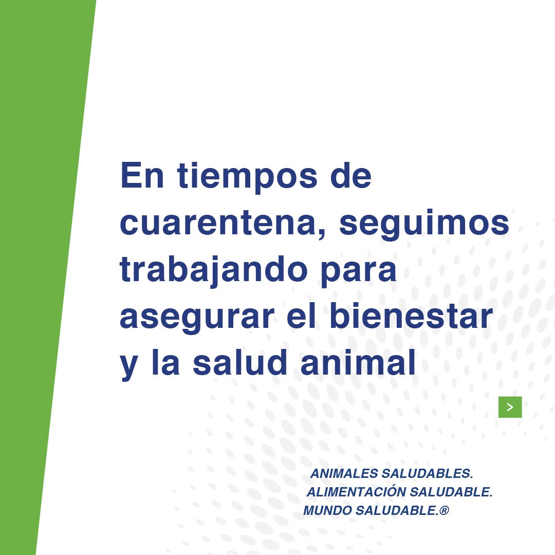 Phibro Salud Animal tweet media