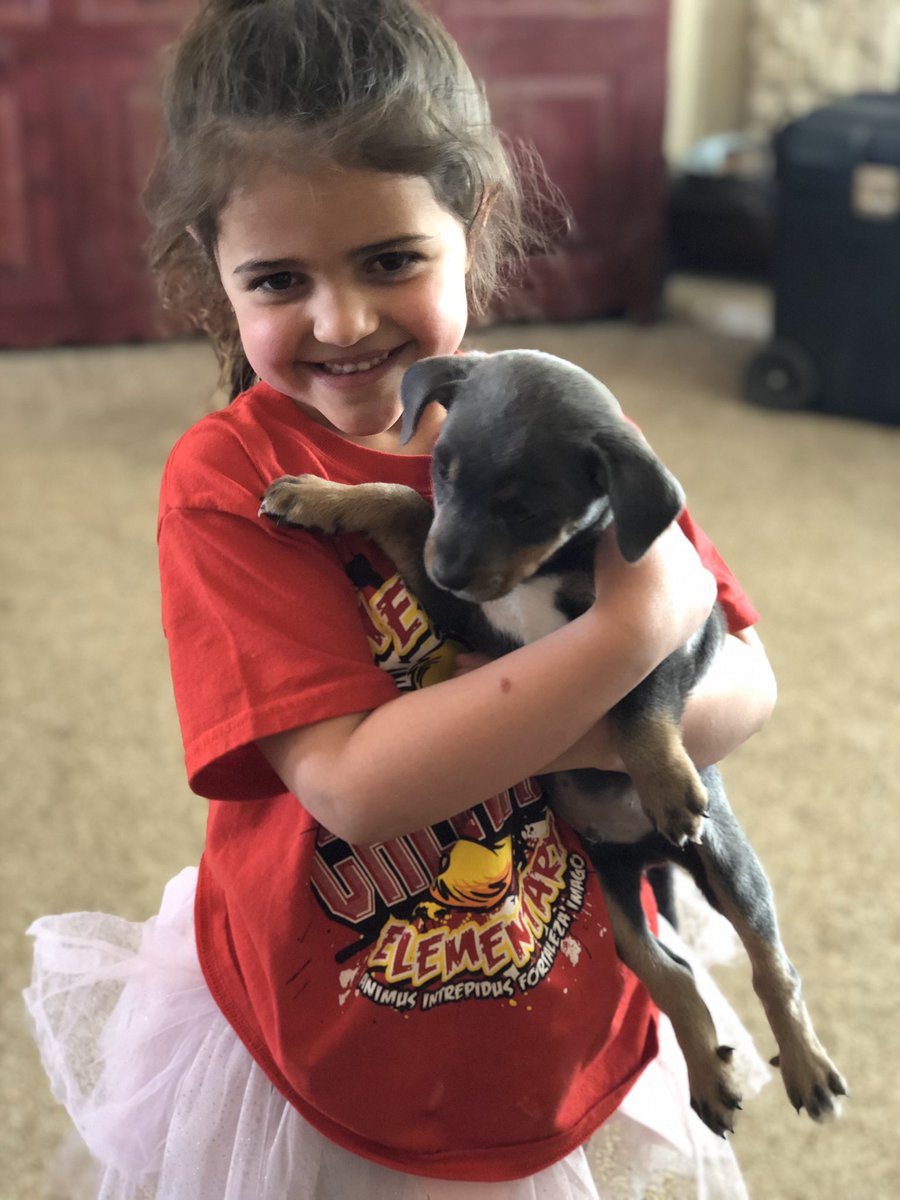 CAKidd2012's tweet photo. Having a great day rocking my Animus house shirt, tutu, and puppy @counselorroy #ItsACameronThing https://t.co/rBTfLZoK6O
