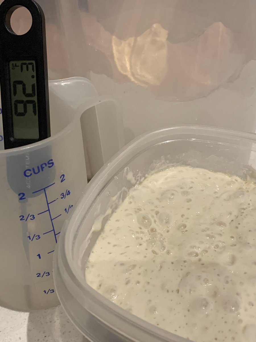 #Allenbyathome for mmmm Monday! Spirit Day we made grilled cheese and a fresh crispy salad 🥗 and “fed” our sourdough starter ... <a href="/AllenbyPS_TDSB/">AllenbyPS_TDSB</a> <a href="/AllenbyPS/">Allenby Parents</a>