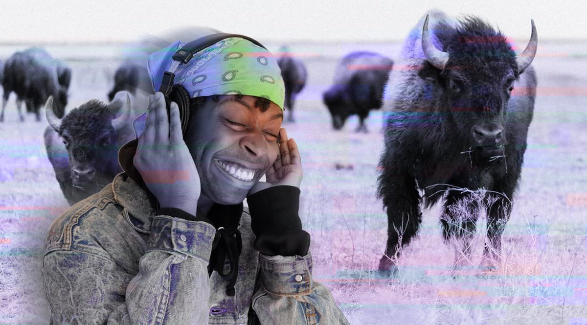 Chillin' at home ready to listen to some virtual adventure! <a href="/audible_com/">Audible</a> is dropping its newest audio comedy - Escape from Virtual Island - on April 2 and you can get it for free!! 
 
Download it here👇#ad 
 
audible.com/efvi