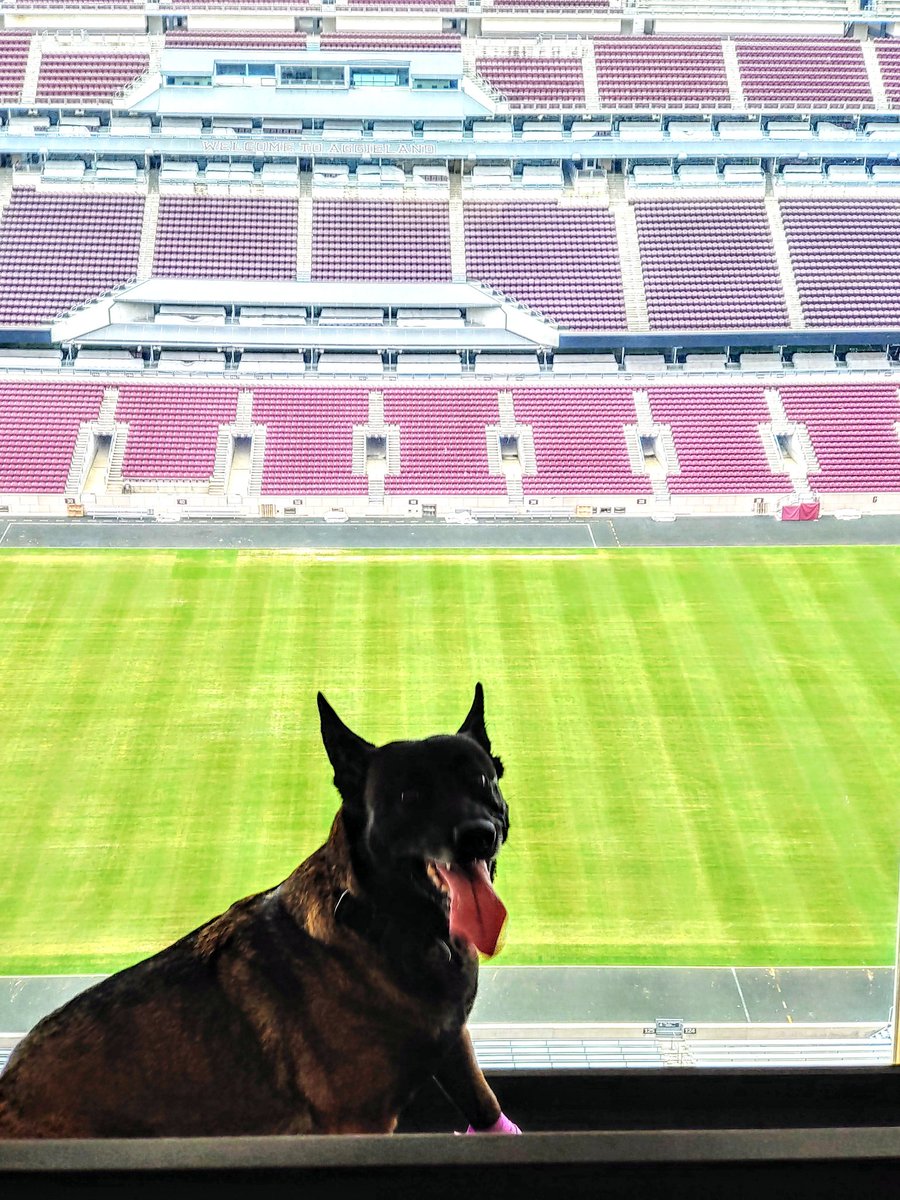 TK9jackie's tweet photo. Hey dad lets watch the games from up here in the fall, I really like the view. https://t.co/DhYKJcQoDP