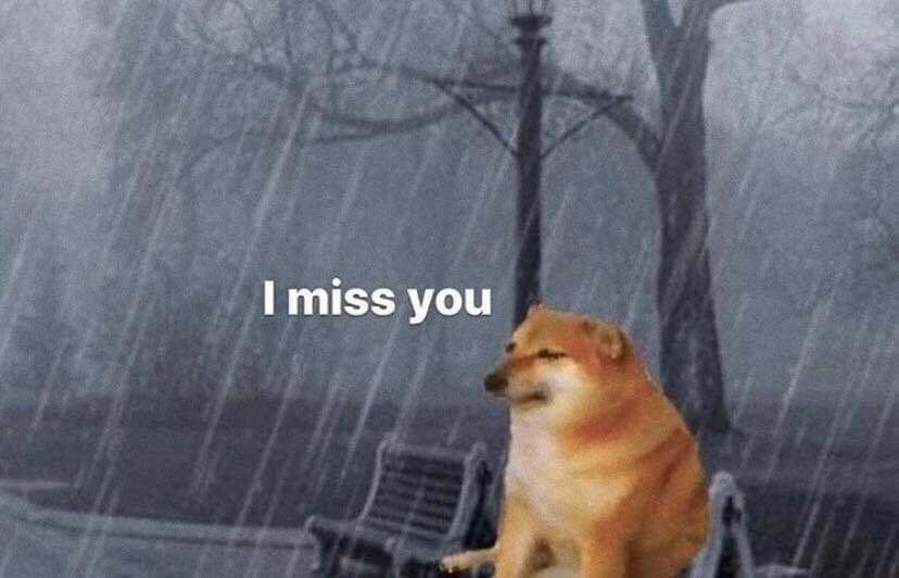 DiloConPerritos's tweet photo. Cada que veo una storie de mis amigos: https://t.co/PHZMsI5ex1