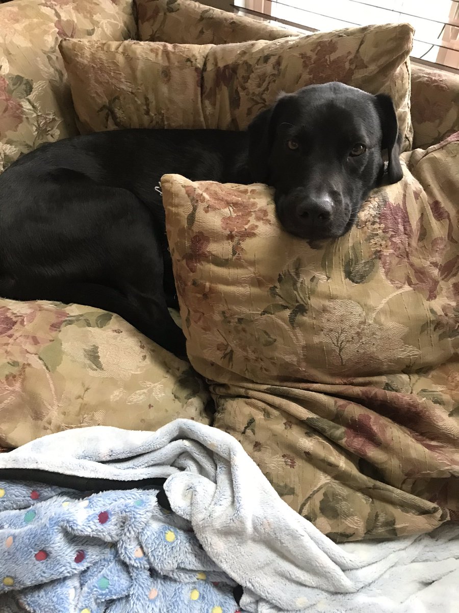 WerchinskiTMS's tweet photo. Captain’s Log: Day 11: When a Monday truly feels like a Monday...#TobyVHI https://t.co/yj8CERgsAG