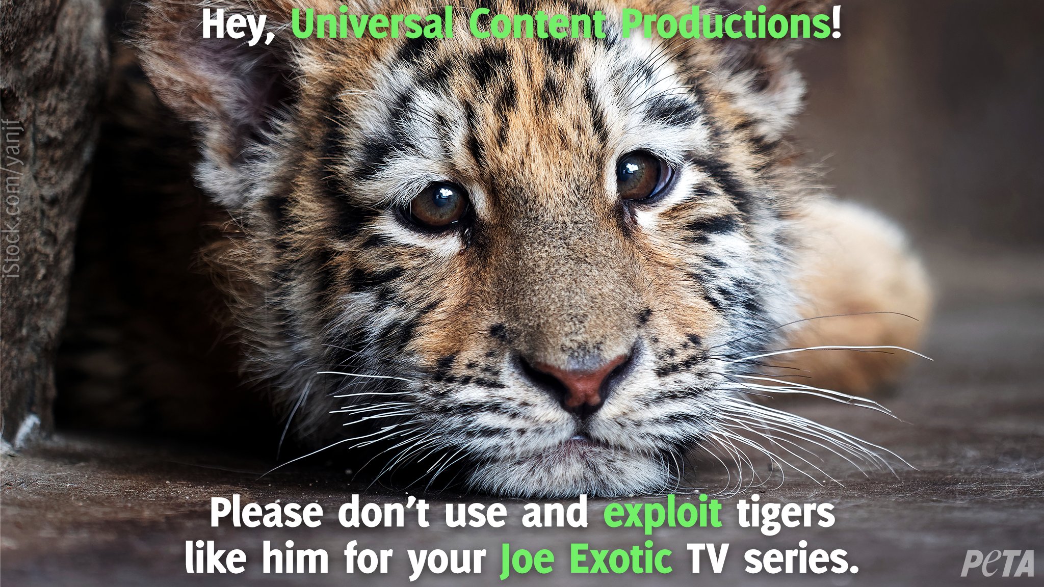 PETA on Twitter: PETA on Twitter: