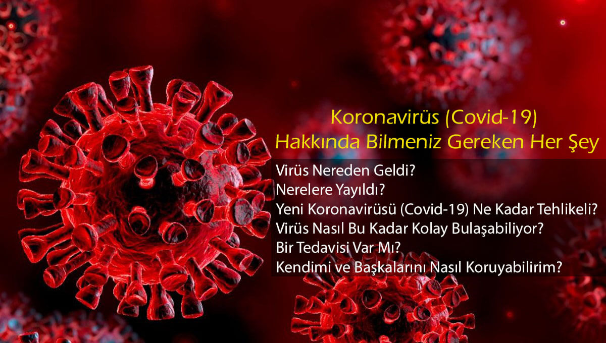 Nereyedergisi's tweet photo. Koronavirüs (Covid-19) Hakkında Bilmeniz Gereken Her Şey
--Virüs Nereden Geldi? Nerelere Yayıldı? Yeni Koronavirüsü (Covid-19) Ne Kadar Tehlikeli? Virüs Nasıl Bu Kadar Kolay Bulaşabiliyor? Bir Tedavisi Var Mı? Kendimi ve Başkalarını Nasıl Koruyabilirim?---
https://t.co/0nP7S5loPF https://t.co/PFR1q4u6p0