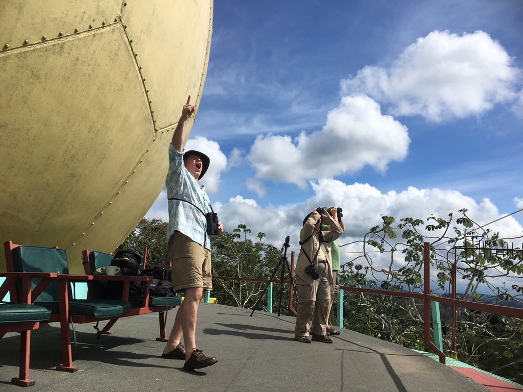 raptours's tweet photo. Canopy Tower, Panama. Oct 2019 #raptours #globalhawkwatching https://t.co/qRiy5r15Bz https://t.co/0hXo4w20Yb