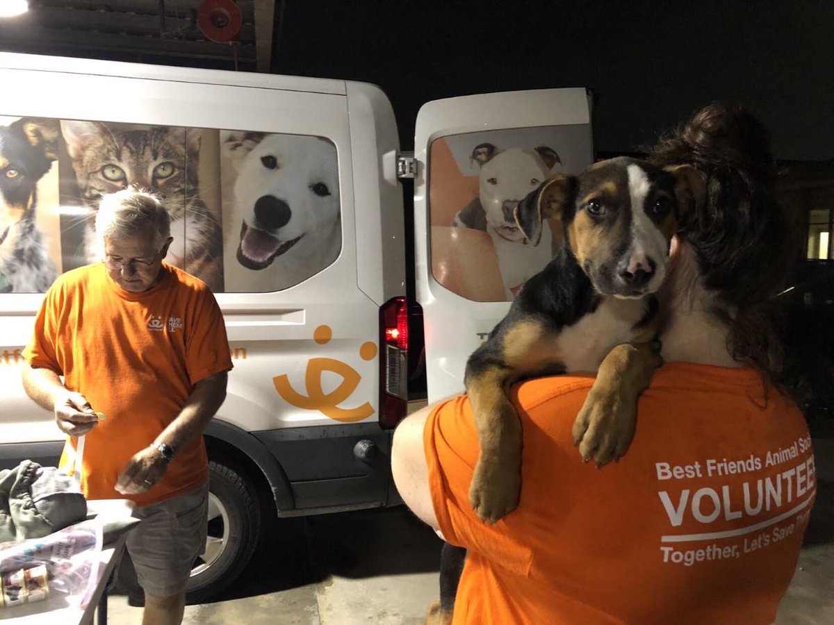 How do you continue to save lives AND follow social distancing guidelines? For <a href="/ruffstartrescue/">Ruff Start Rescue</a> it was easy: transports with a curbside pickup option. With a mission to help homeless pets in Texas (and keep people safe), last weekend they welcomed 33 dogs from Houston. ^kw