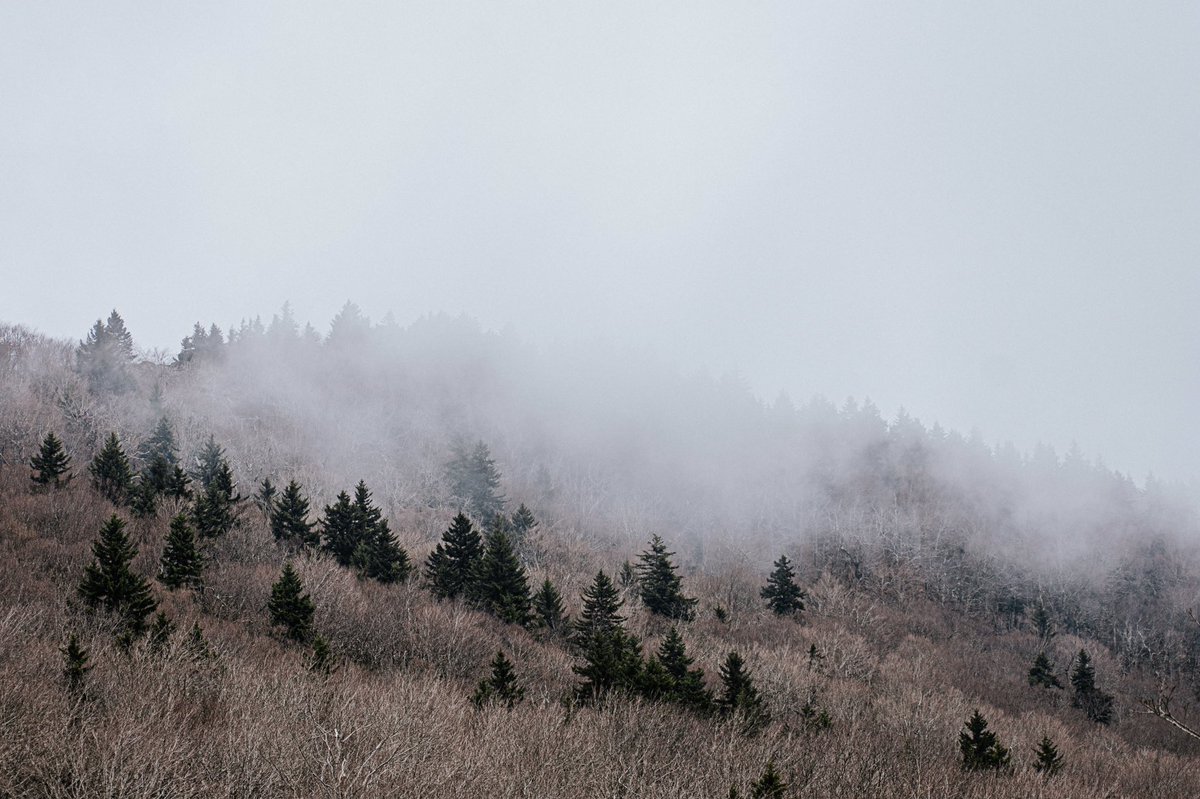 KingSethington's tweet photo. West Virginia’s hills are calling, they said to come home. 🌲 https://t.co/CGYkDyfF99