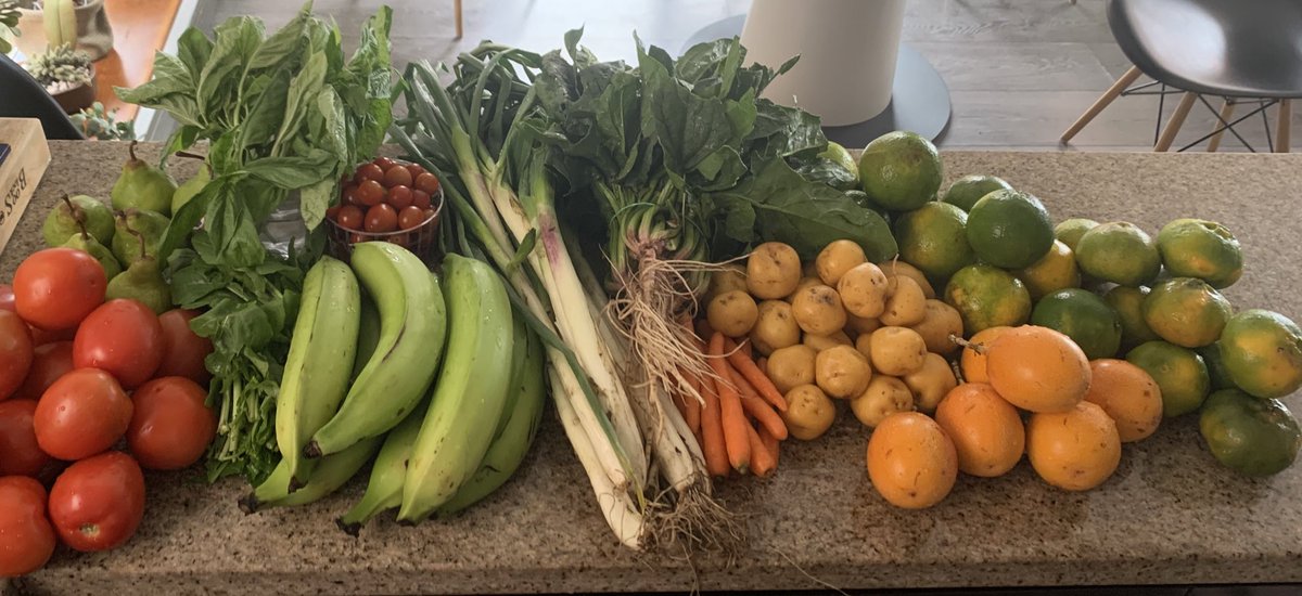 AnaBejaranoRG's tweet image. Así llega el mercado a domicilio de la Plaza del 7 de Agosto en Bogotá. Limpio, fresco, fácil, precios justos y delicioso. Apoyemos las plazas. 

‘Donde Janeth’ ☎️ 3105529027