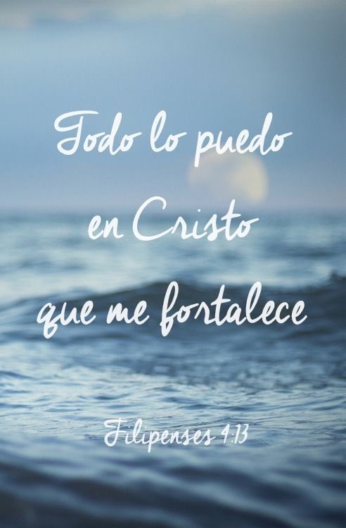 gustavo vargas🌎🌳🌲 tweet media