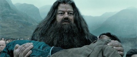 Harry Potter™▕⃝⃤ ⚯ ͛ tweet media